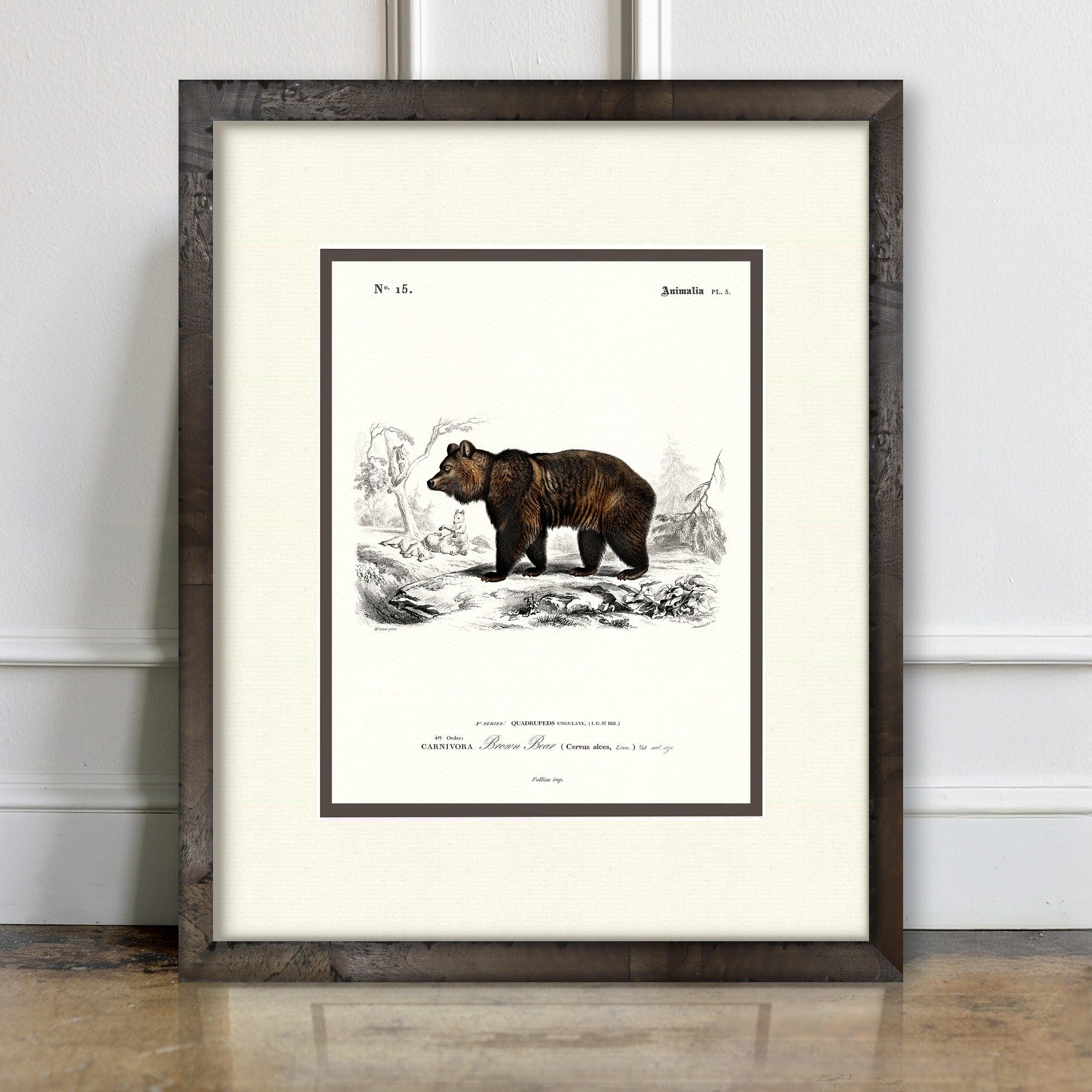 Woodland Illustrations - Brown Bear - room mockup