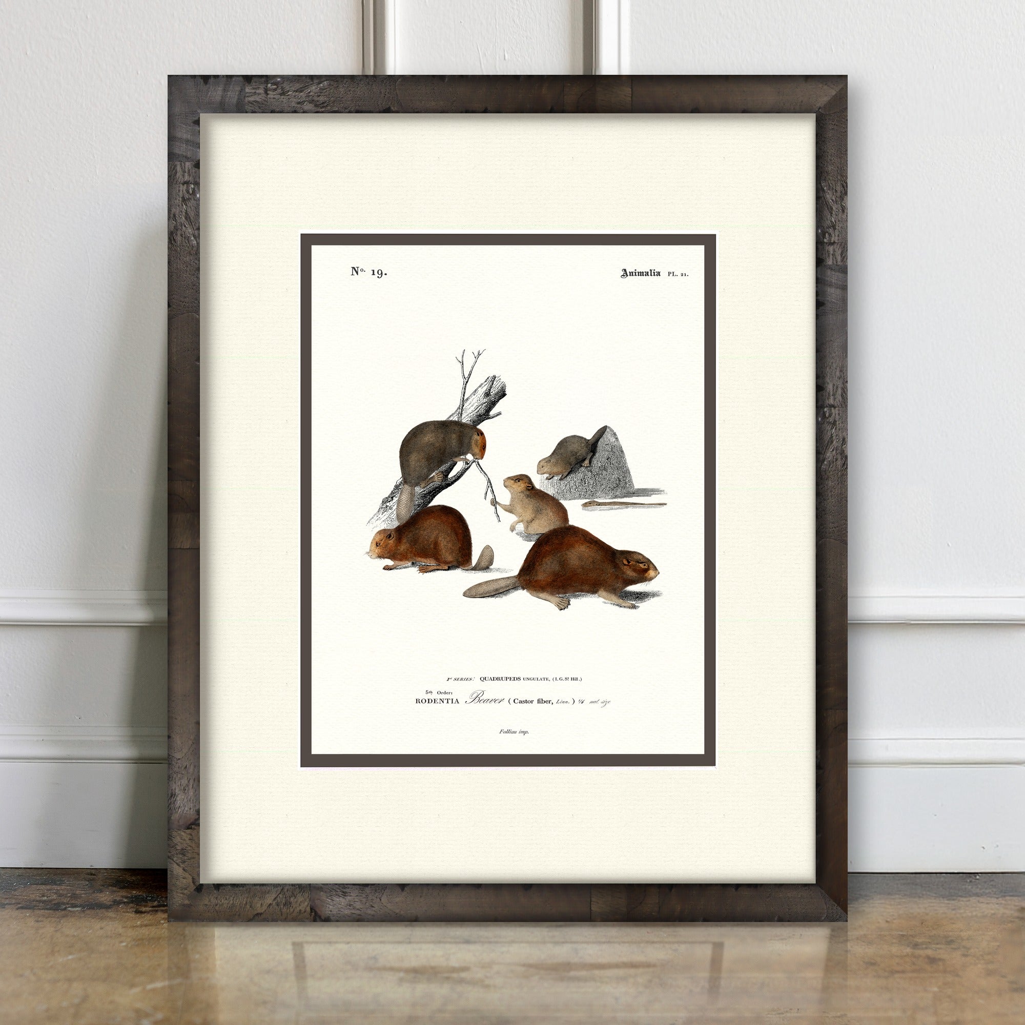 Woodland Illustrations - Beaver - room mockup