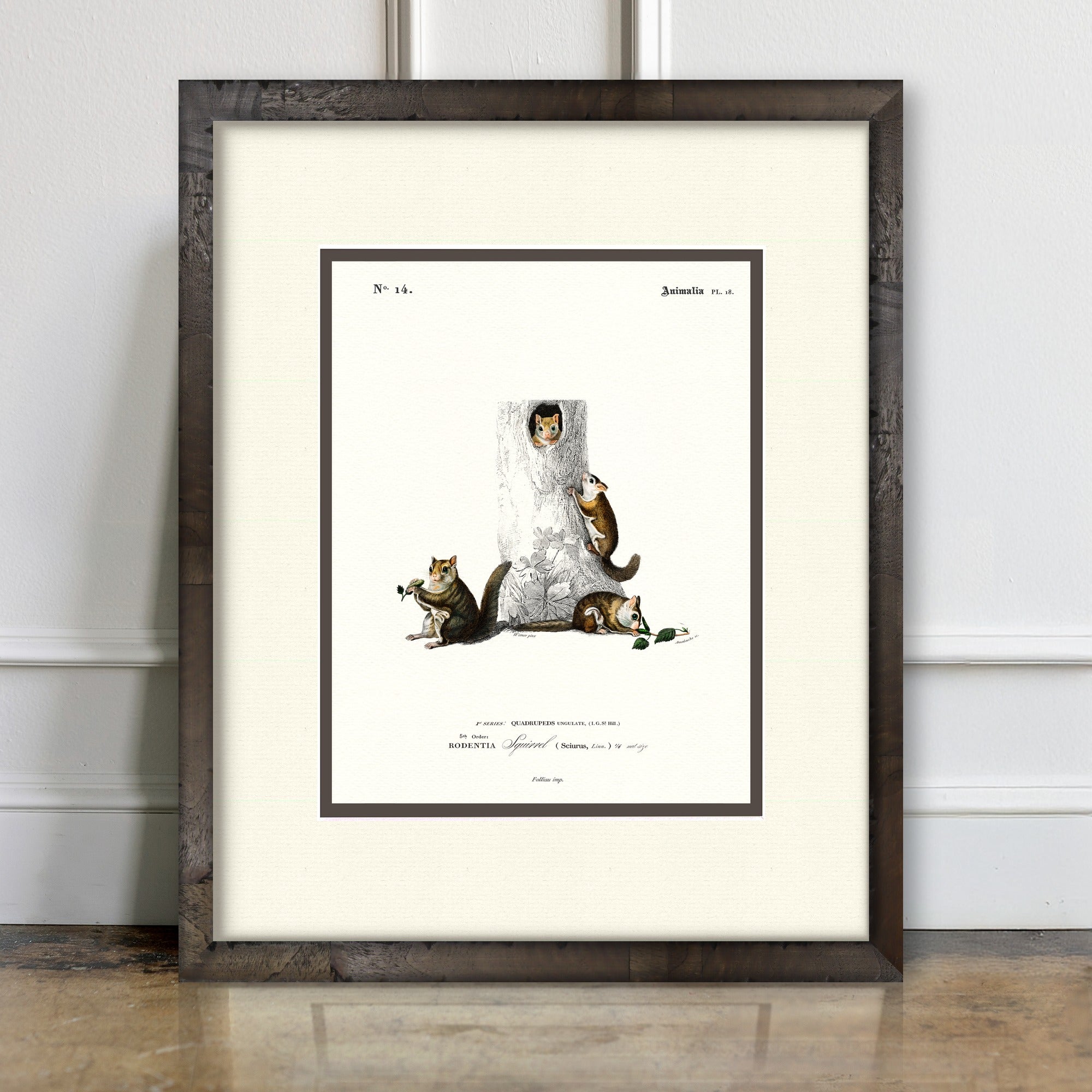 Woodland Illustrations - Squirrels - room mockup