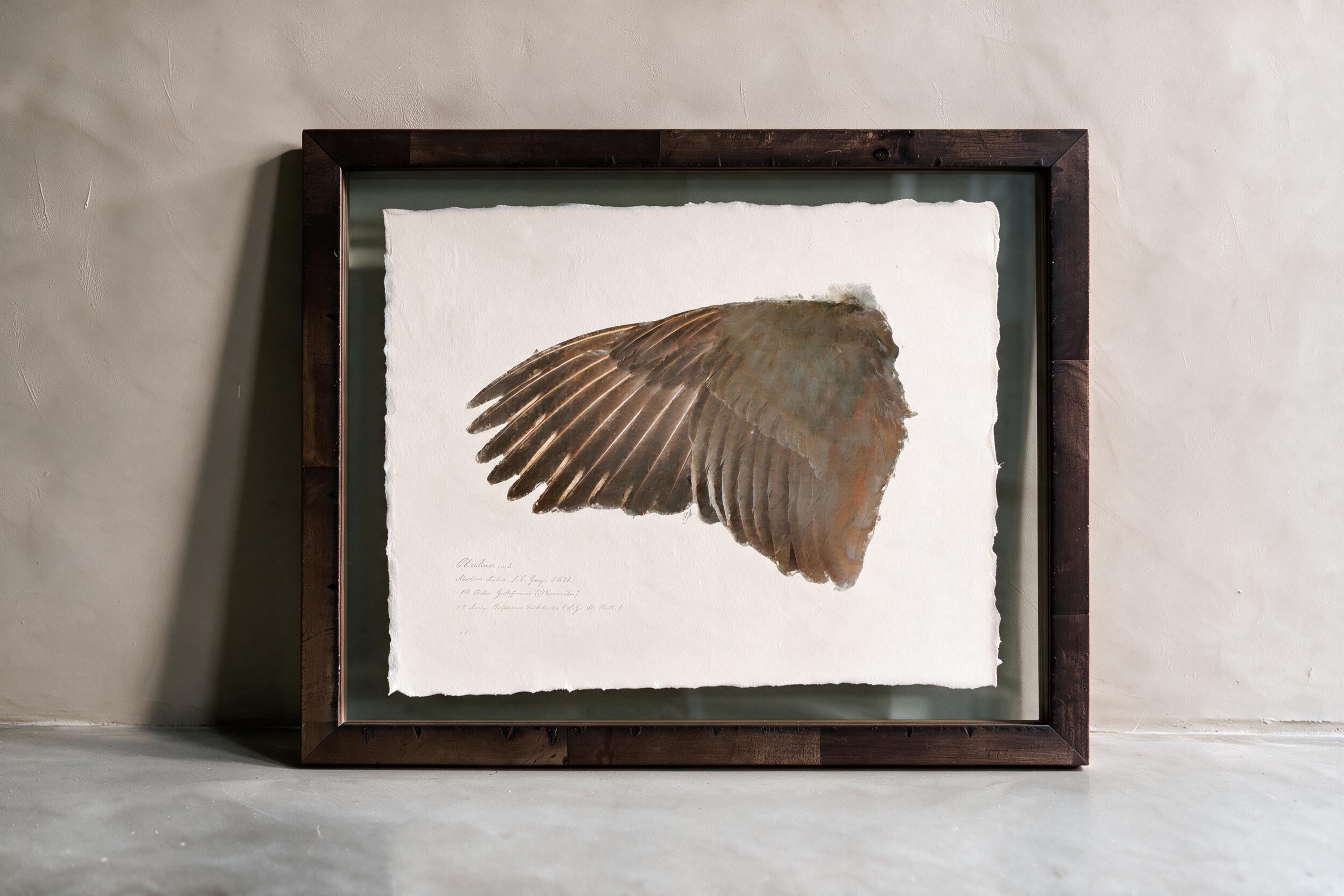 Illustrated Game Bird Wings - Chukar Cock