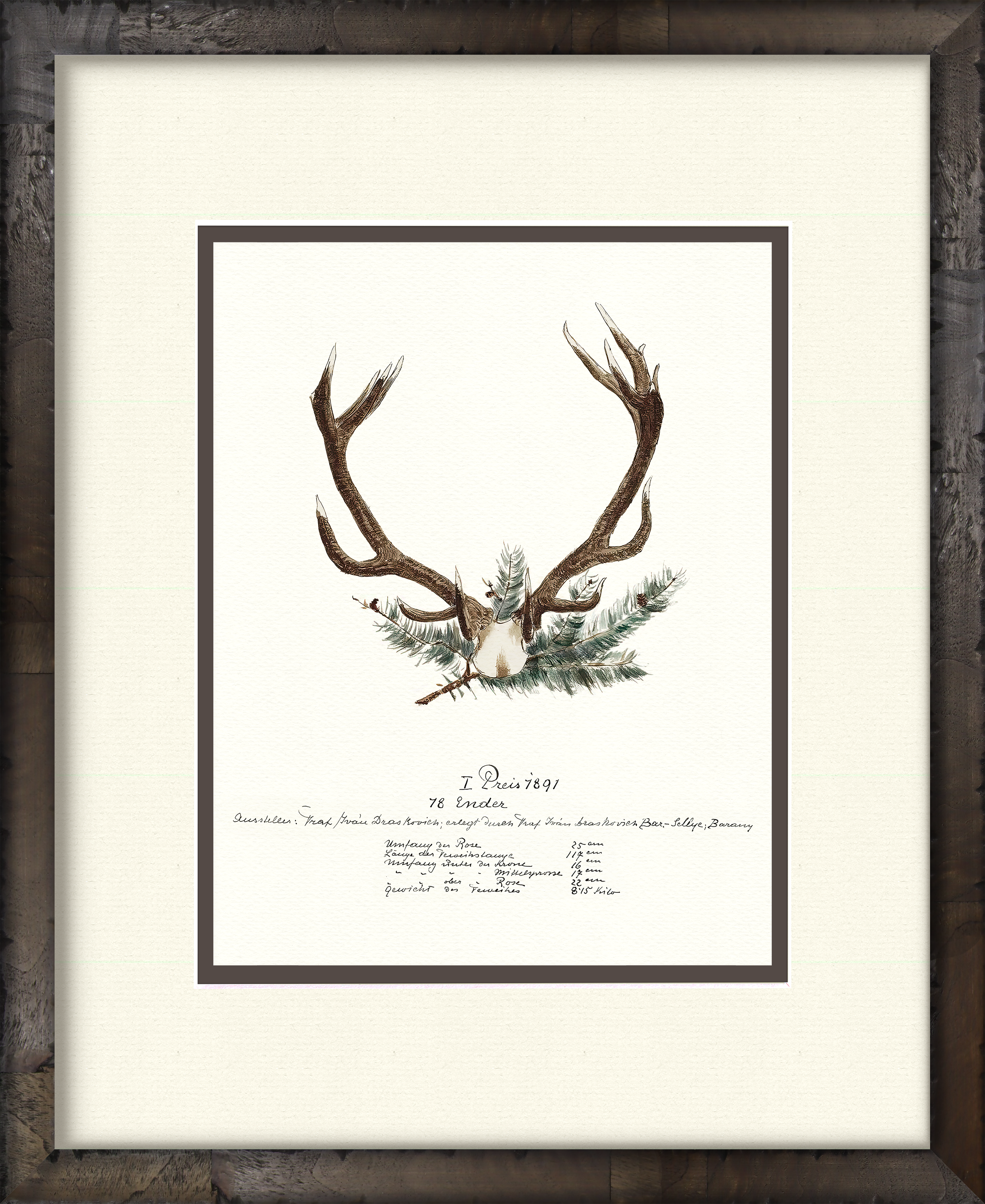 Trophy Antler Illustrations 1891 No. II — 19th-century big game trophy vintage art print