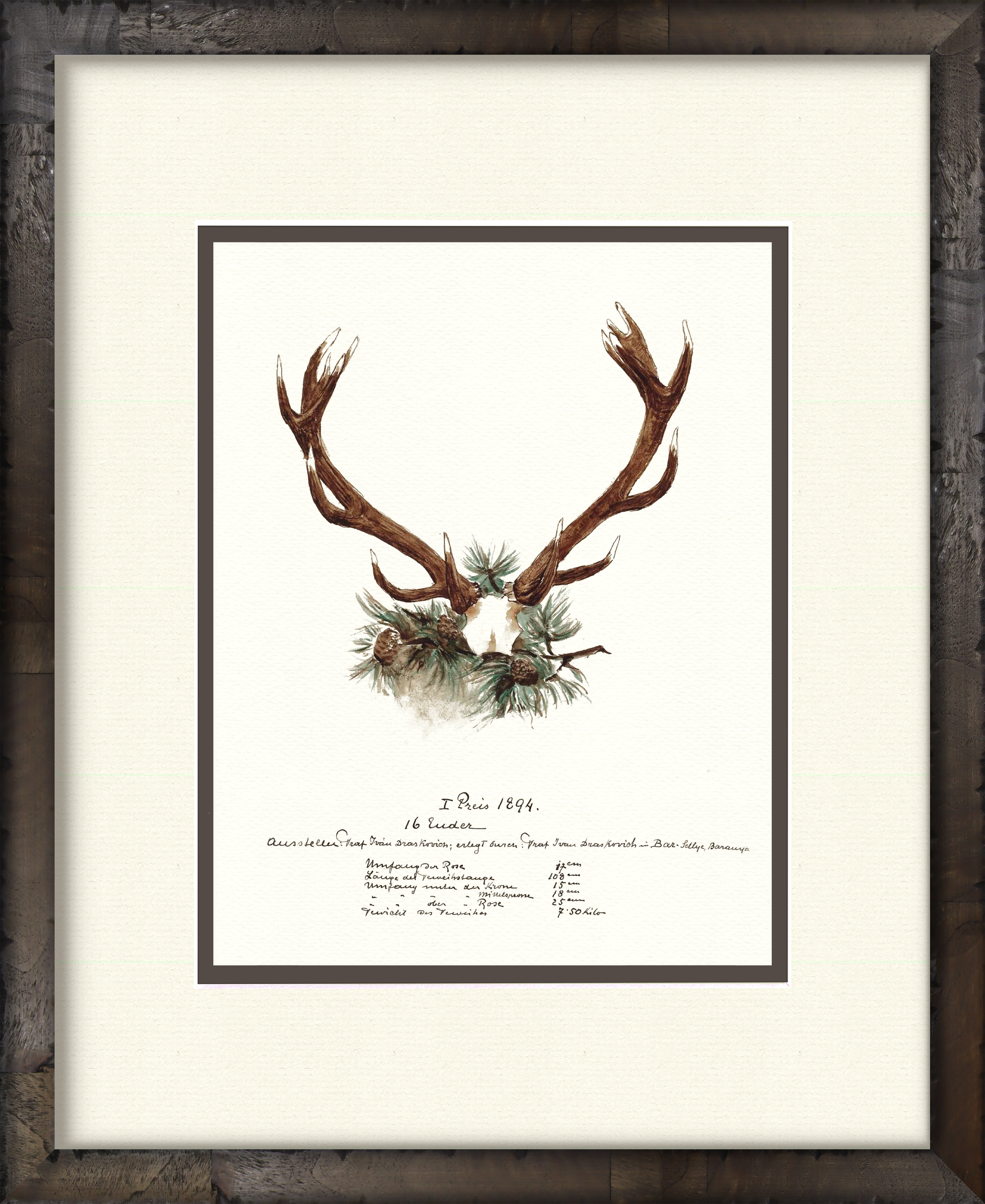 Trophy Antler Illustrations 1894 — 19th-century big game trophy vintage art print
