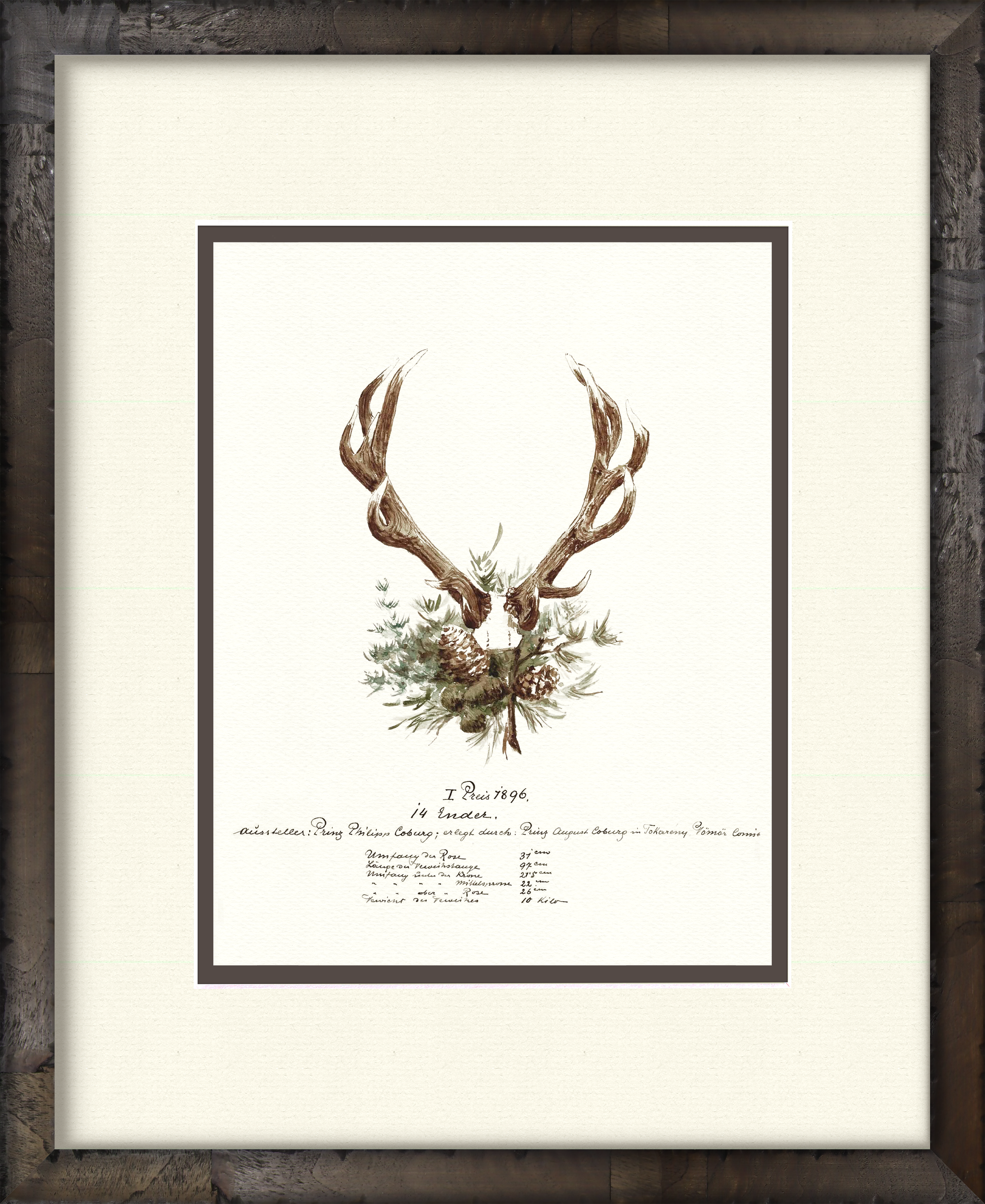 Trophy Antler Illustrations 1896 — 19th-century big game trophy vintage art print