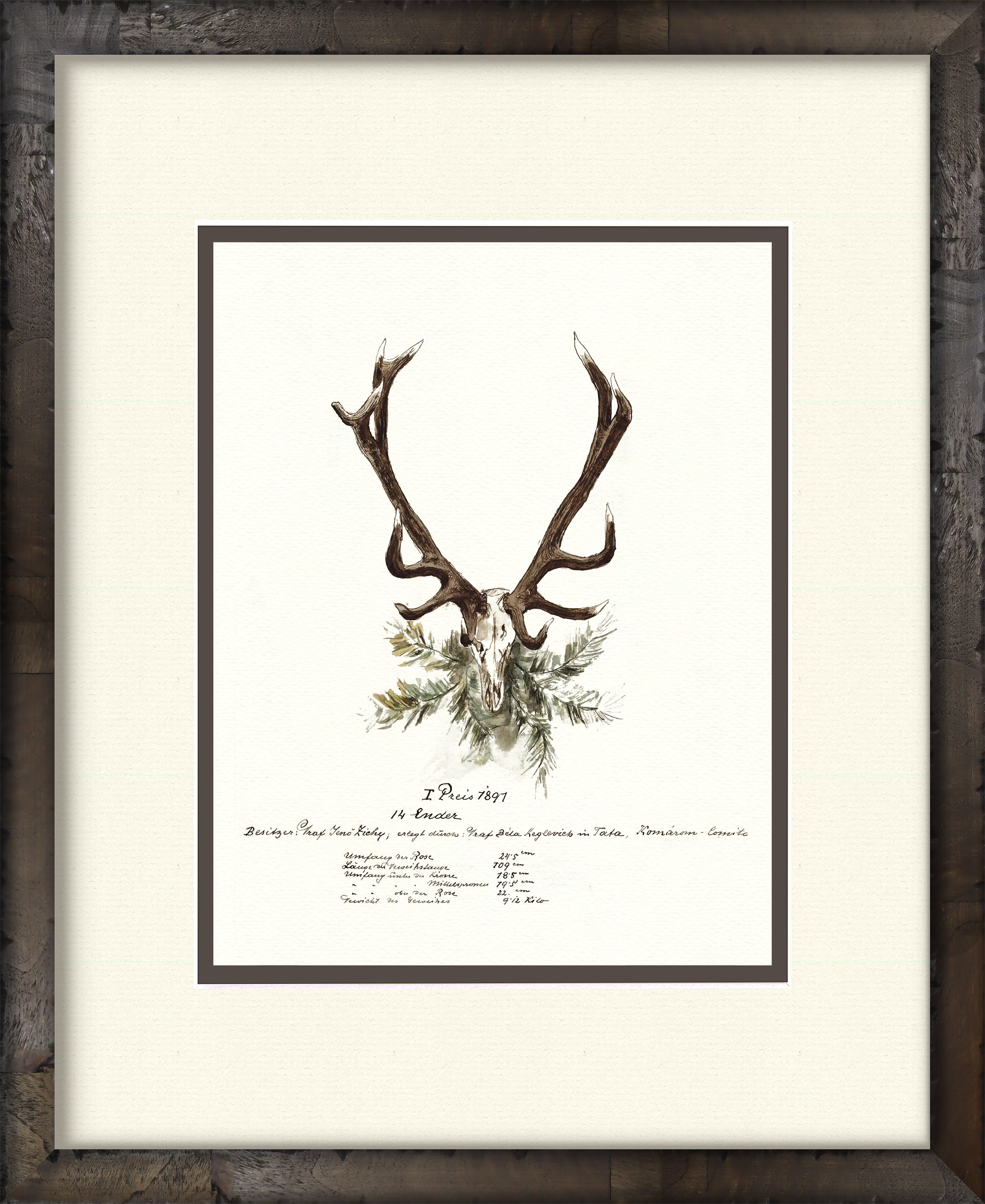 Trophy Antler Illustrations - 1897