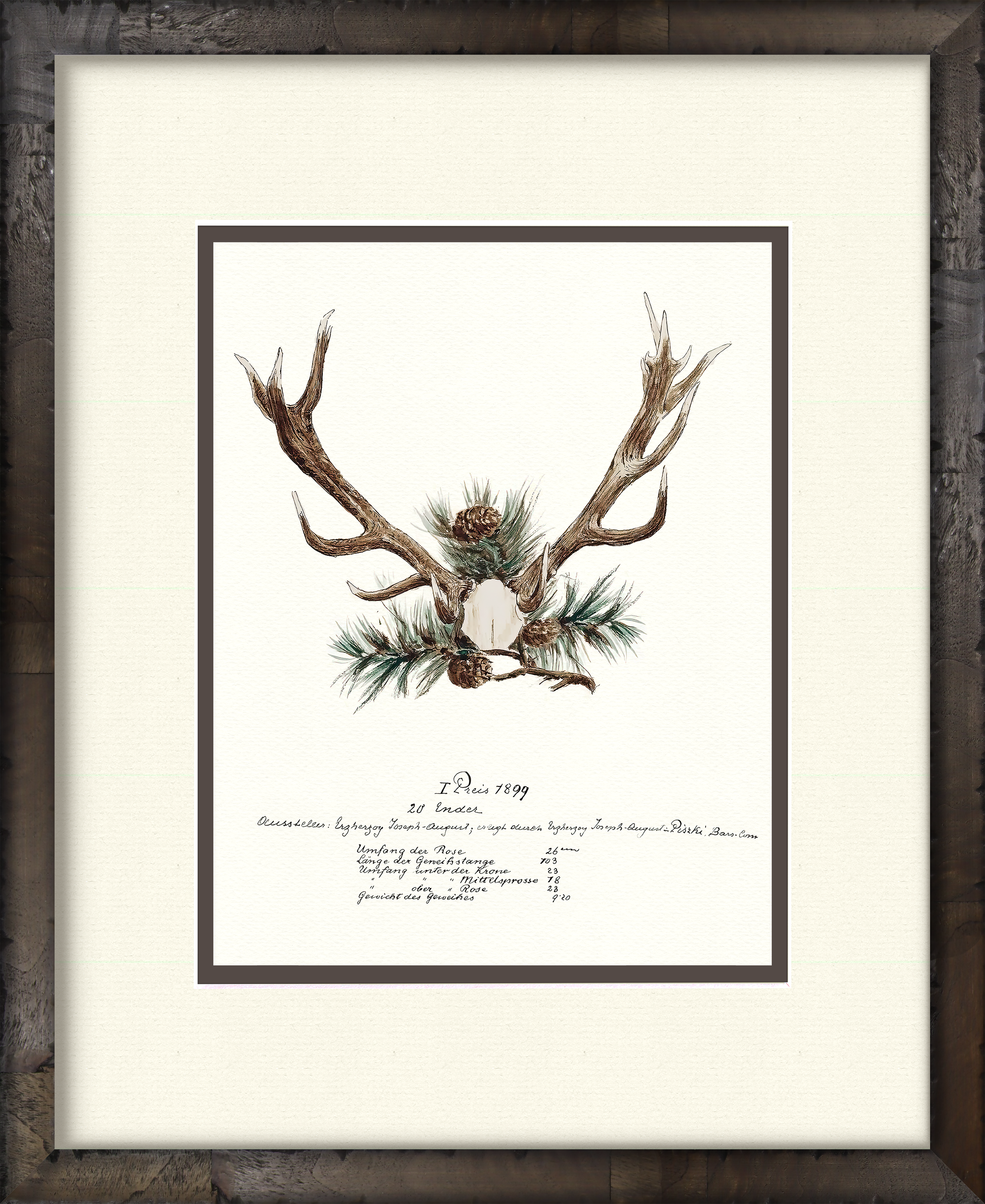 Trophy Antler Illustrations - 1899