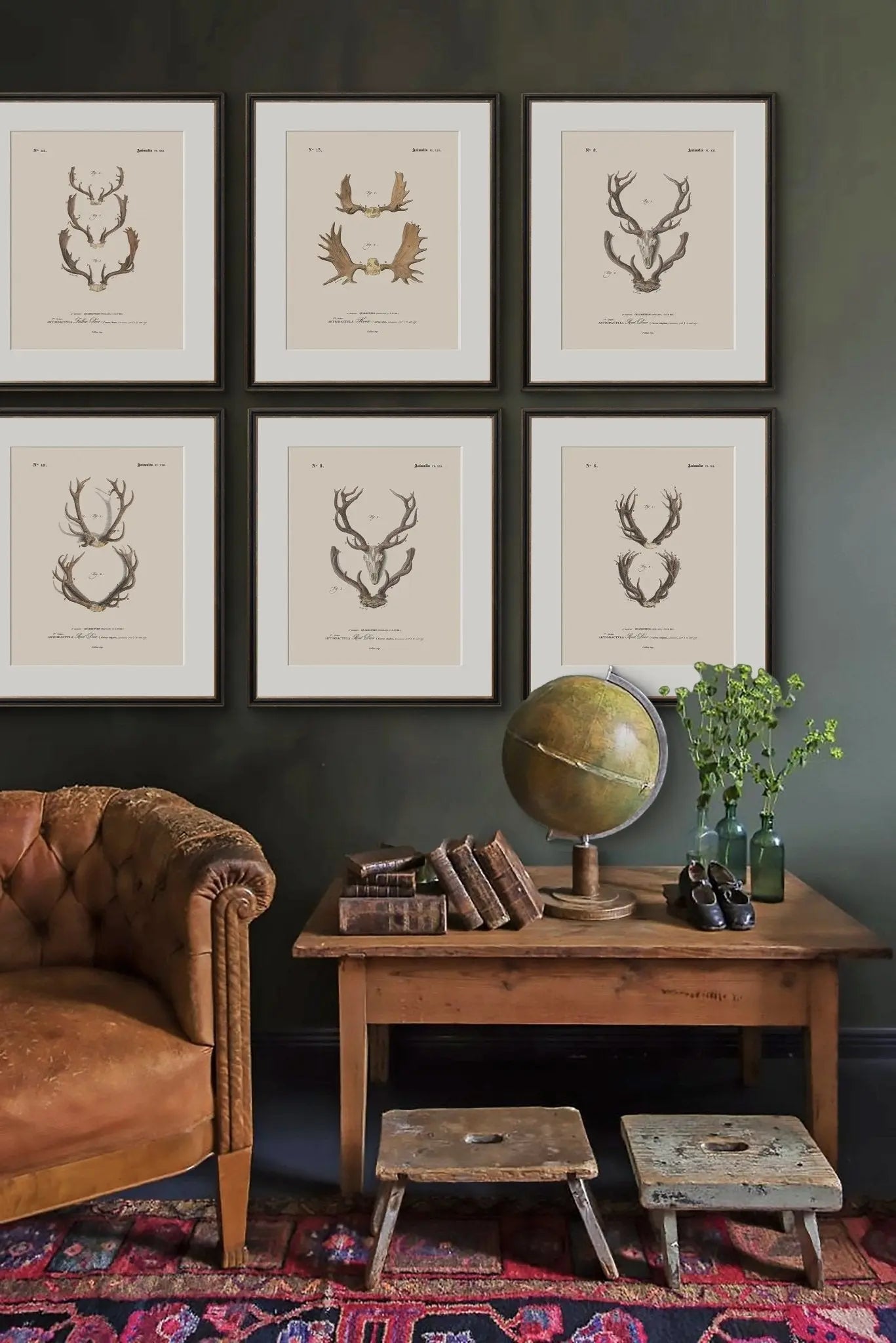 Vintage Deer Antler Illustrations