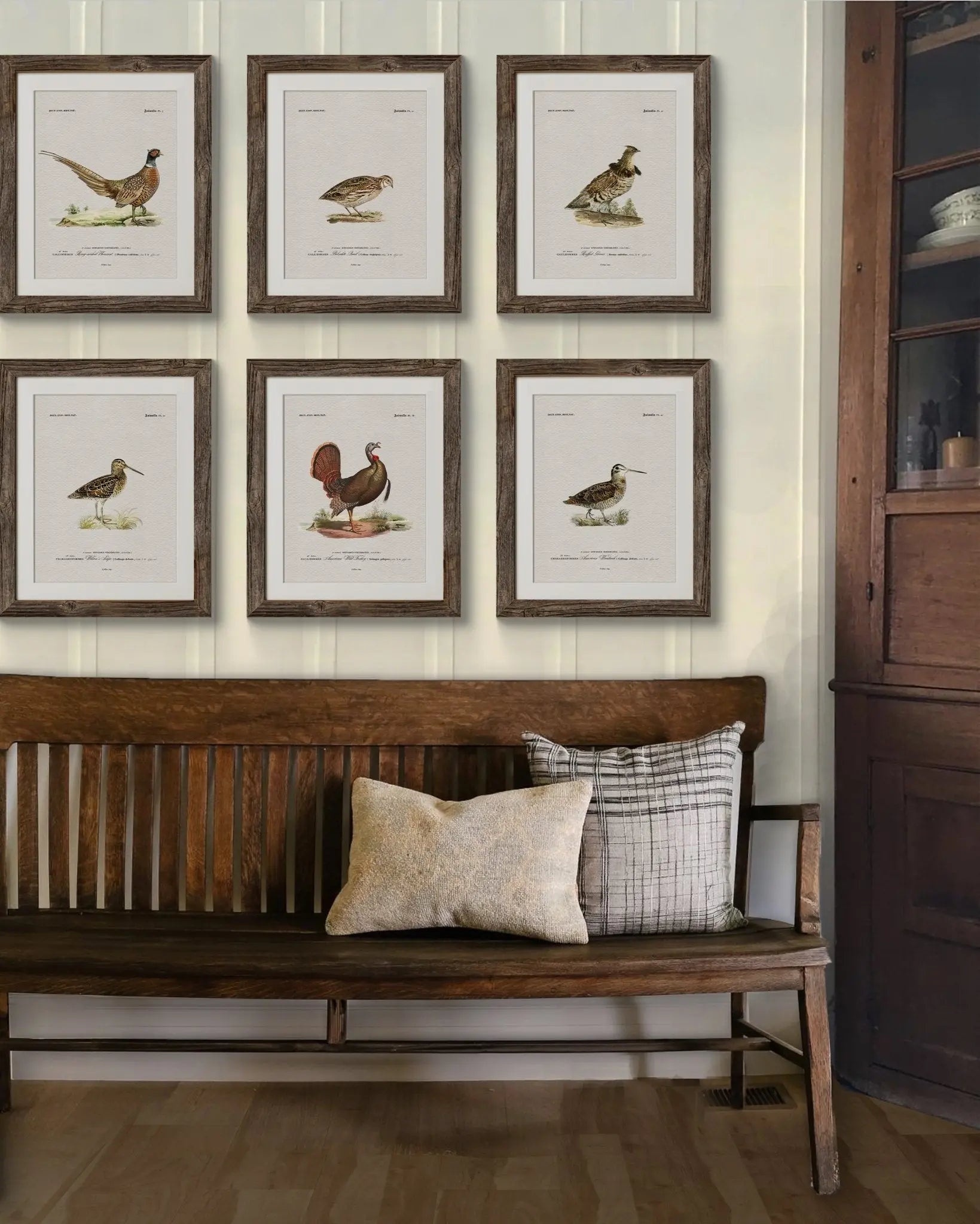 Vintage Naturalist Illustrations: North American Game Birds - Emblem Atelier